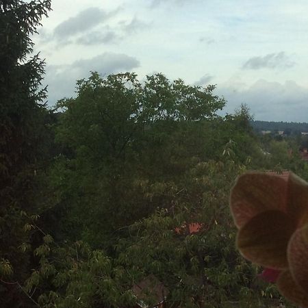 Appartamento Cicha Przystan Połczyn-Zdrój Esterno foto